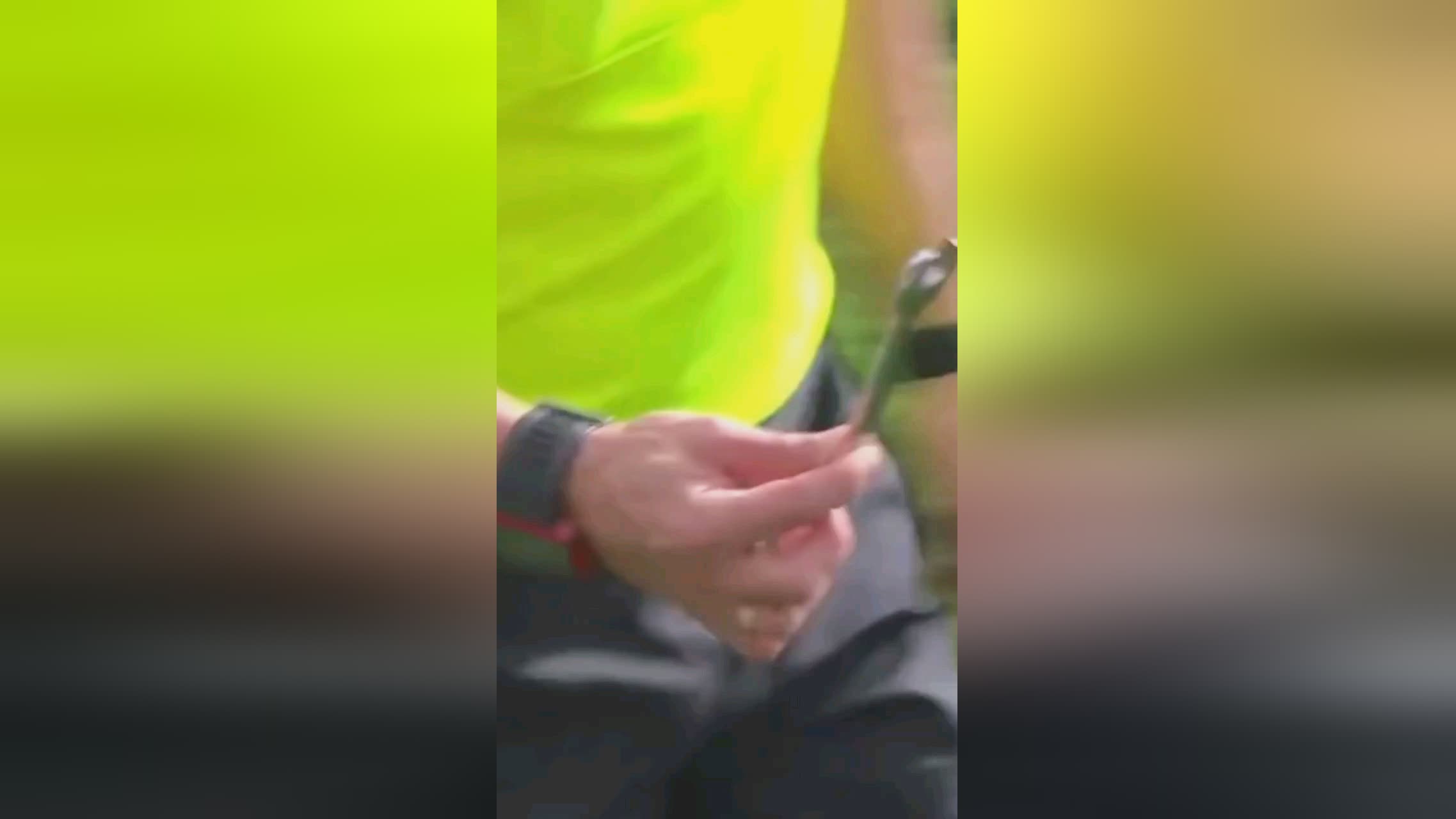 经高